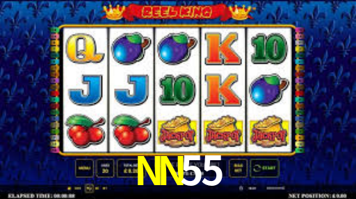NN55