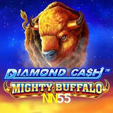 NN55,NN55.Com